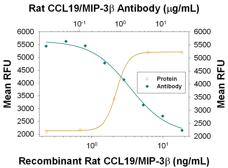 Chemotaxis Induced by CCL19/MIP‑3 beta  and Neutralization by Rat CCL19/MIP‑3 beta  Antibody.