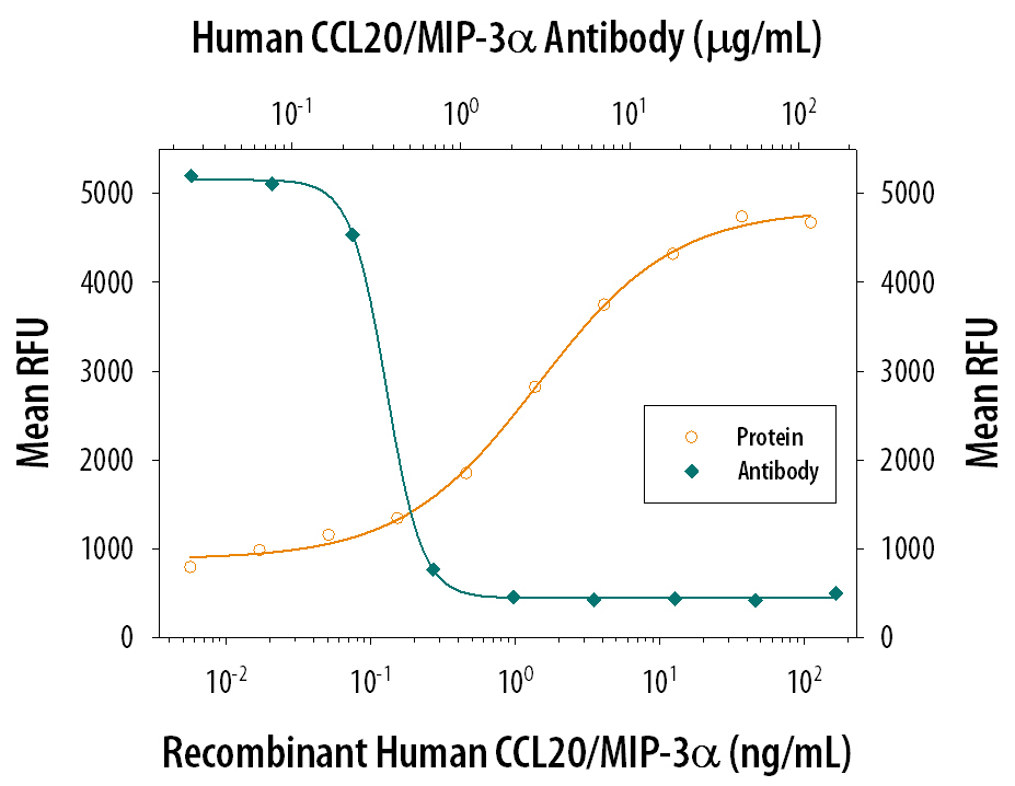 Chemotaxis Induced by CCL20/MIP‑3 alpha  and Neutralization by Human CCL20/MIP‑3 alpha  Antibody.