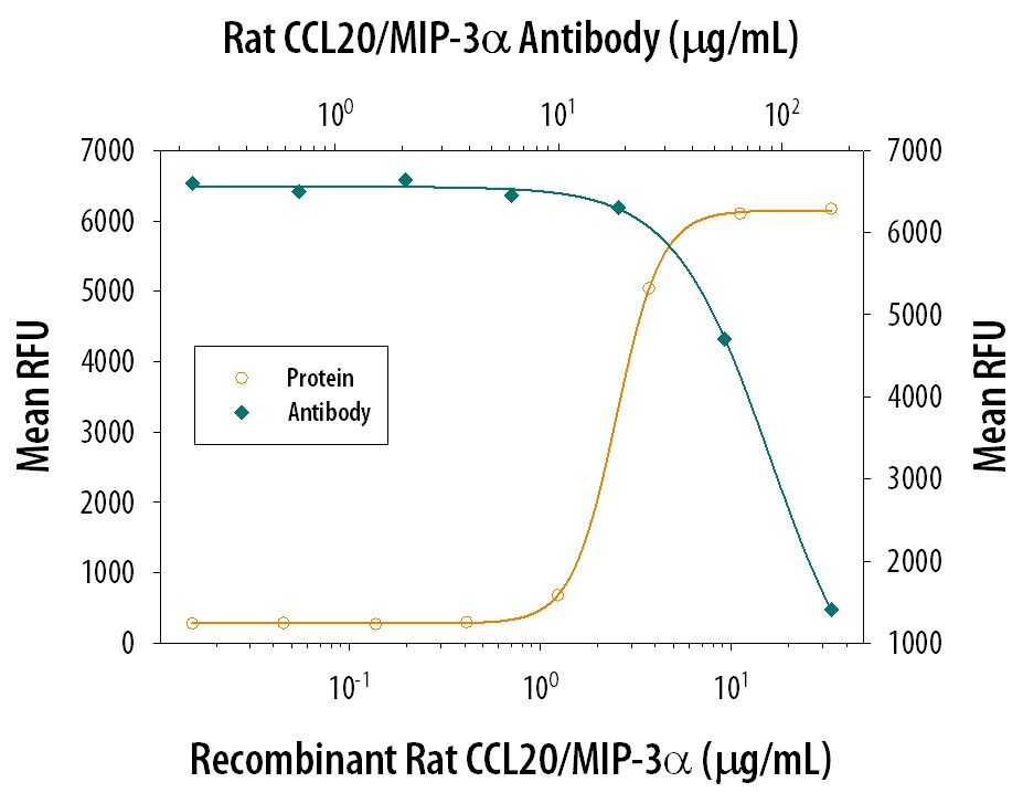 Chemotaxis Induced by CCL20/MIP‑3 alpha  and Neutralization by Rat CCL20/MIP‑3 alpha  Antibody.