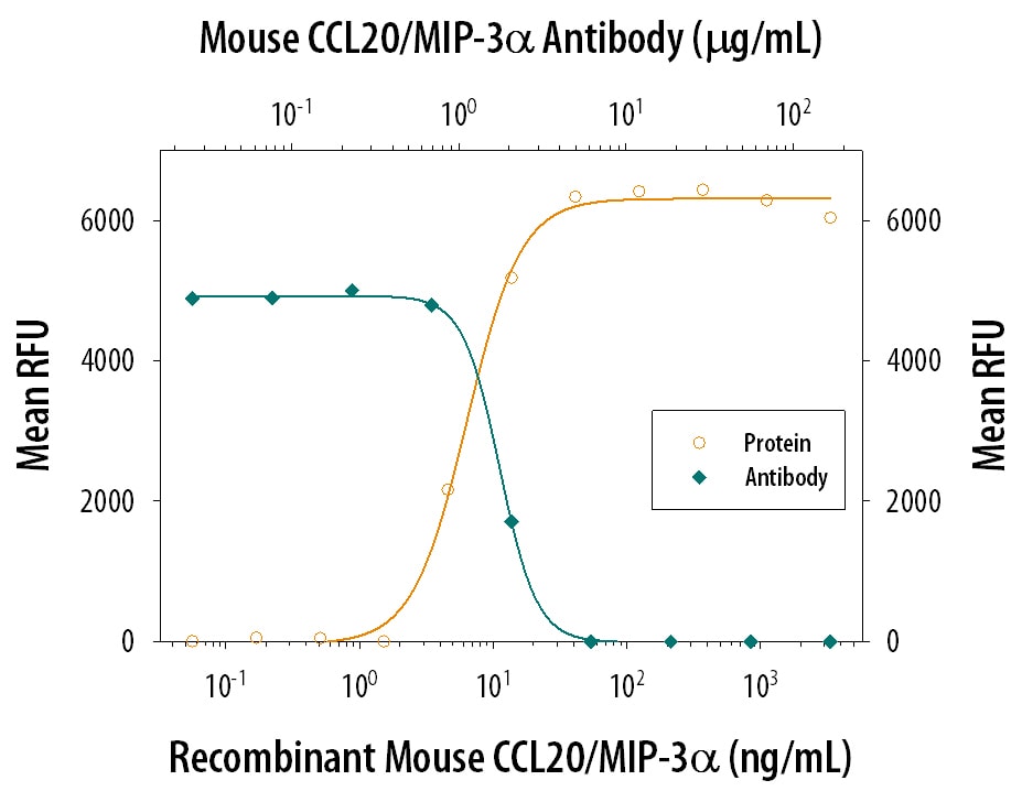 Chemotaxis Induced by CCL20/MIP‑3 alpha  and Neutralization by Mouse CCL20/MIP‑3 alpha  Antibody.