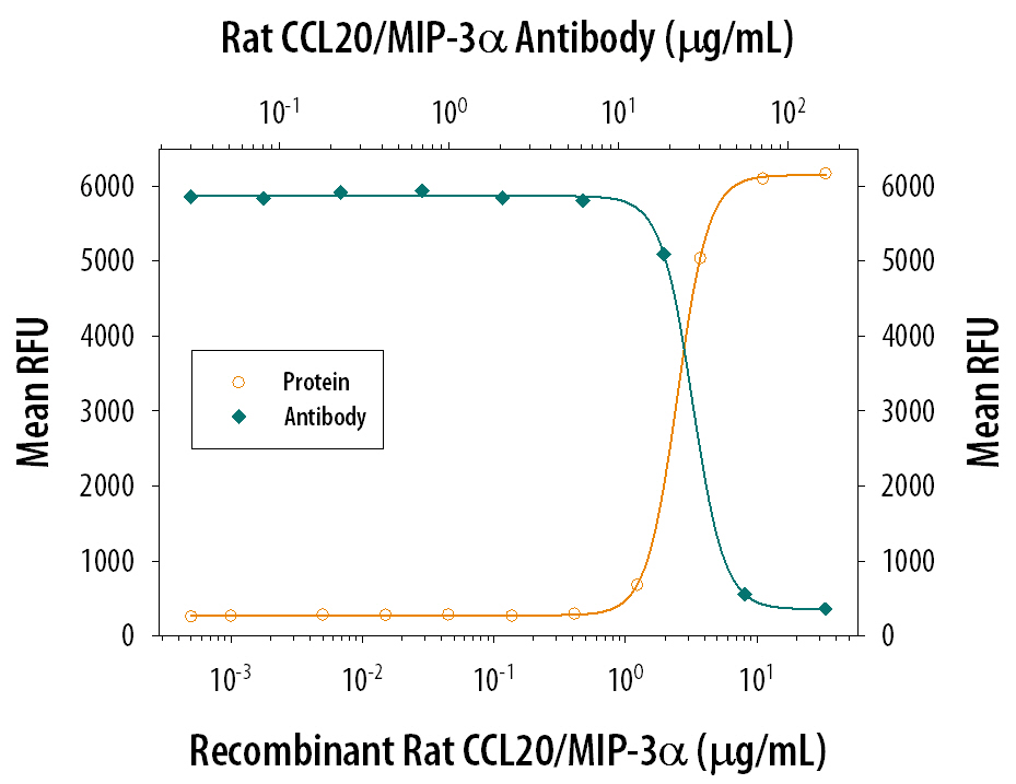 Chemotaxis Induced by CCL20/MIP‑3 alpha  and Neutralization by Rat CCL20/MIP‑3 alpha  Antibody.