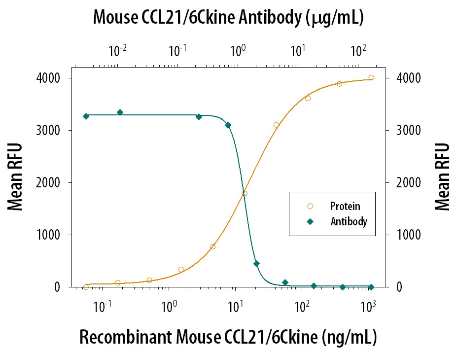 Chemotaxis Induced by CCL21/6Ckine and Neutralization by Mouse CCL21/6Ckine Antibody.