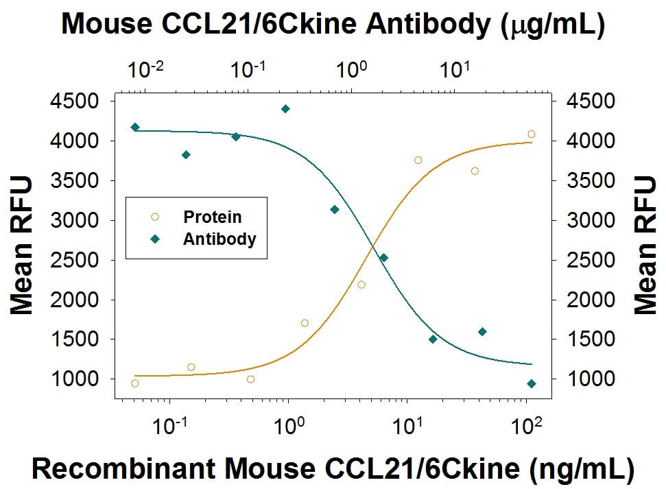 Chemotaxis Induced by CCL21/6Ckine and Neutralization by Mouse CCL21/6Ckine Antibody.