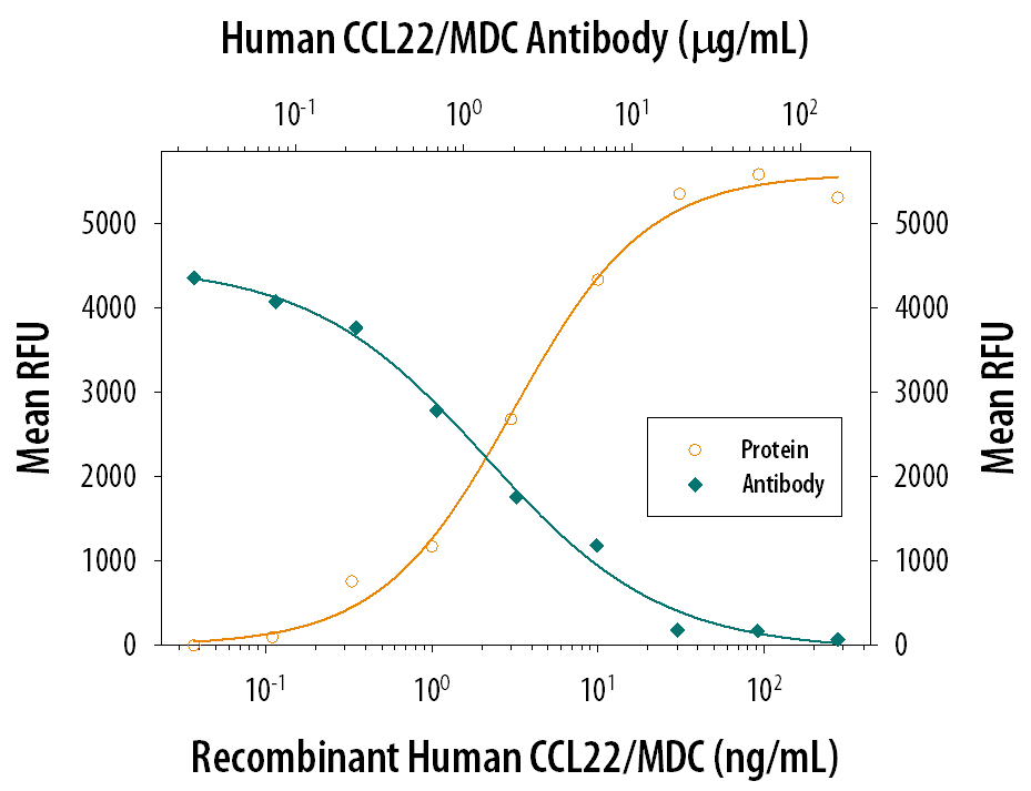 Chemotaxis Induced by CCL22/MDC and Neutralization by Human CCL22/MDC Antibody.