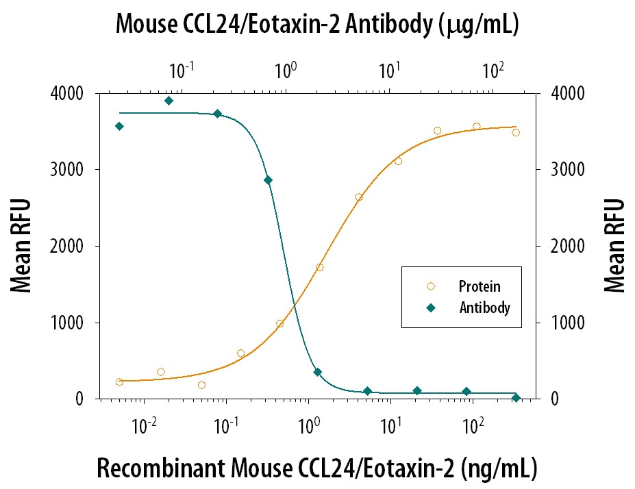 Chemotaxis Induced by CCL24/Eotaxin‑2 and Neutralization by Mouse CCL24/Eotaxin‑2 Antibody.