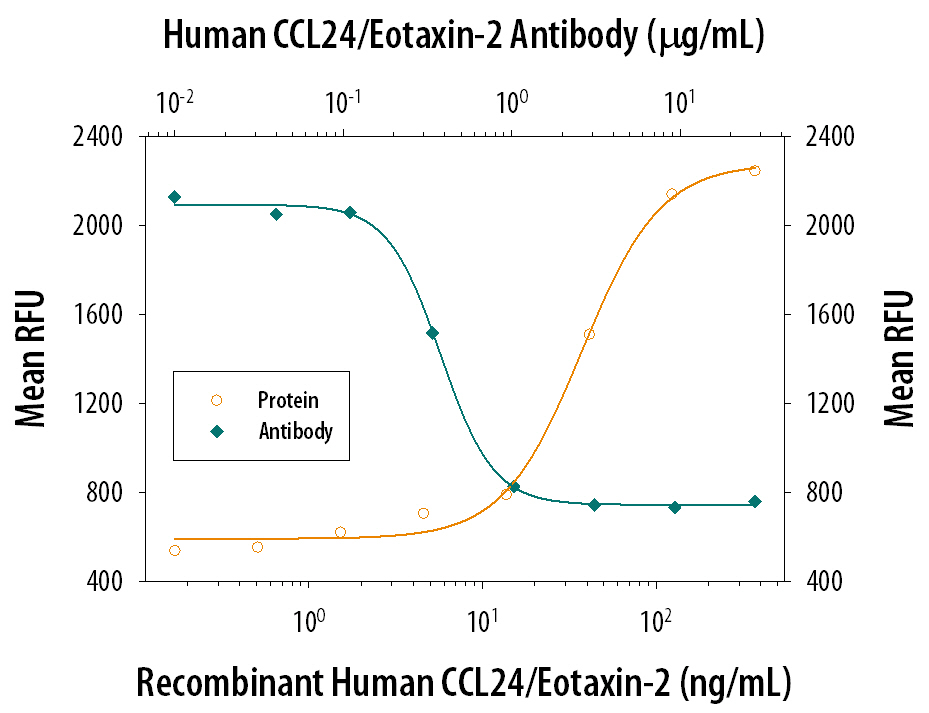 Chemotaxis Induced by CCL24/Eotaxin‑2 and Neutralization by Human CCL24/Eotaxin‑2 Antibody.