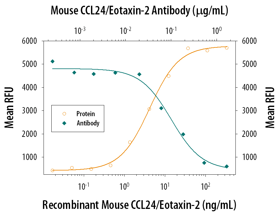 Chemotaxis Induced by CCL24/Eotaxin‑2 and Neutral-ization by Mouse CCL24/ Eotaxin‑2 Antibody.