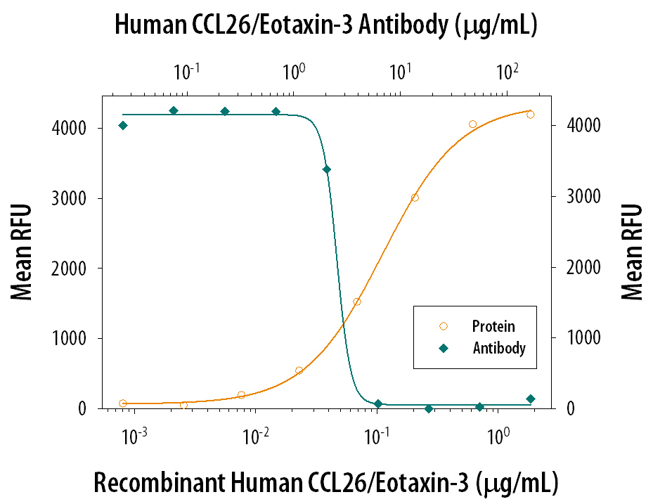 Chemotaxis Induced by CCL26/Eotaxin‑3 and Neutralization by Human CCL26/Eotaxin‑3 Antibody.