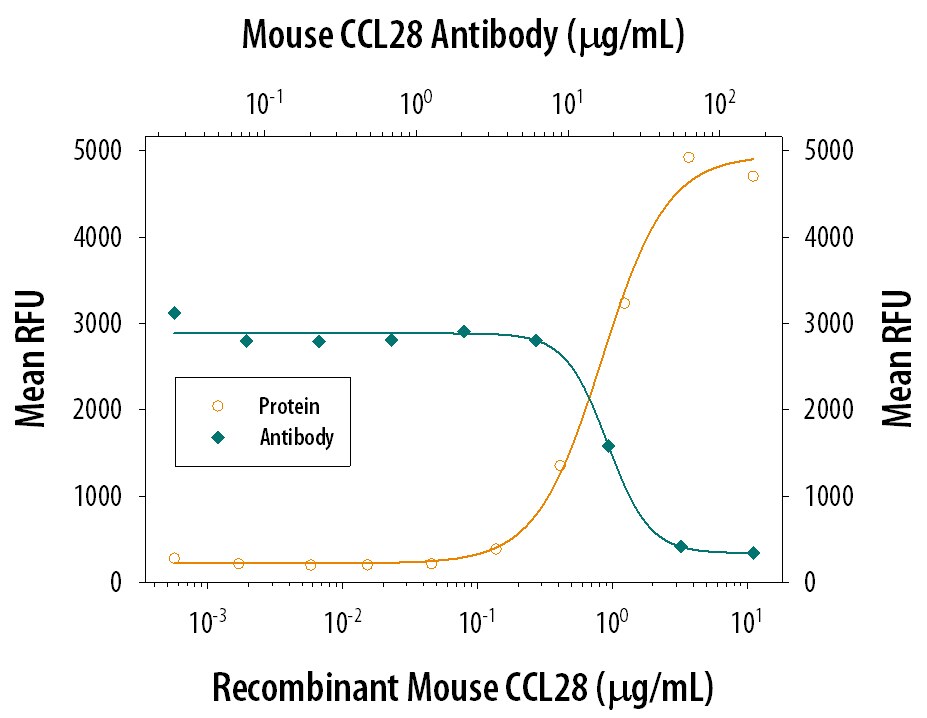 Chemotaxis Induced by CCL28 and Neutralization by Mouse CCL28 Antibody.