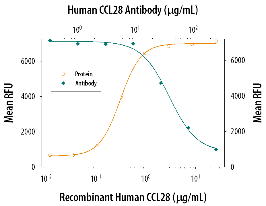Chemotaxis Induced by CCL28 and Neutralization by Human CCL28 Antibody.