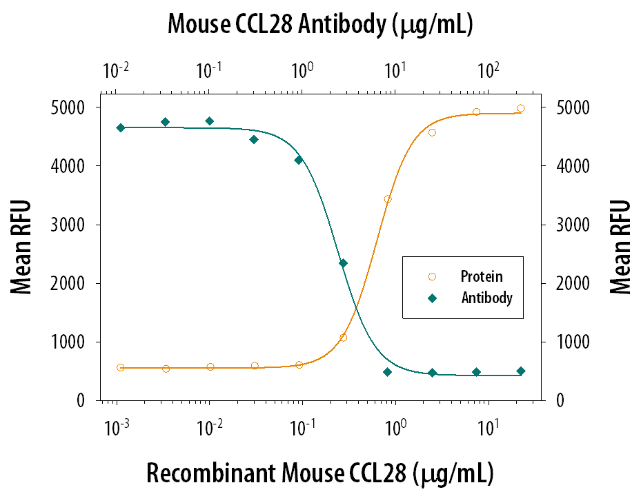 Chemotaxis Induced by CCL28 and Neutralization by Mouse CCL28 Antibody.
