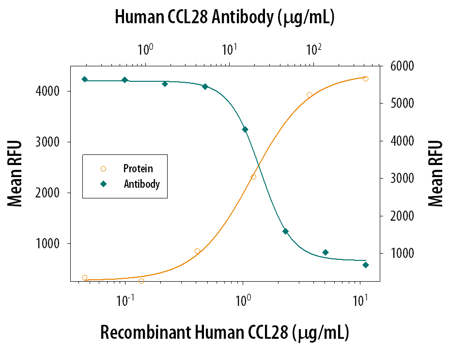 Chemotaxis Induced by CCL28 and Neutralization by Human CCL28 Antibody.
