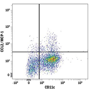 Detection of CCL2/JE/MCP‑1 antibody in Human PBMCs antibody by Flow Cytometry.