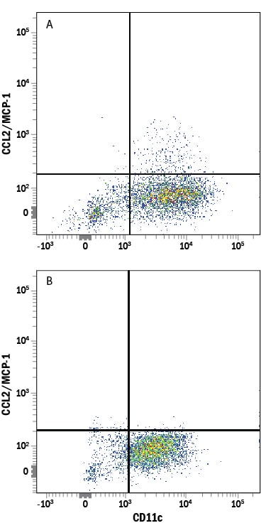Detection of CCL2/JE/MCP‑1 antibody in Human PBMCs antibody by Flow Cytometry.