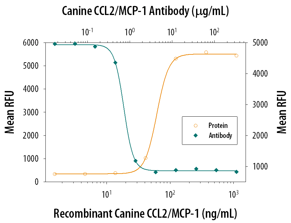 Chemotaxis Induced by CCL2/JE/MCP‑1 and Neutralization by Canine CCL2/JE/MCP‑1 Antibody.