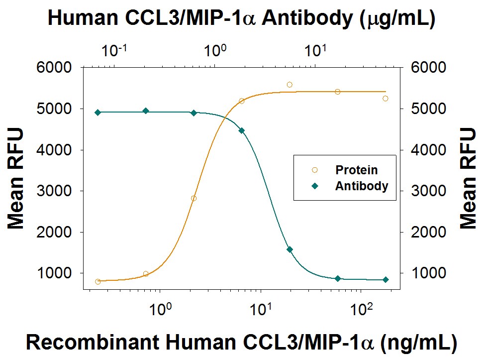 Chemotaxis Induced by CCL3/MIP‑1 alpha  and Neutralization by Human CCL3/MIP‑1 alpha  Antibody.