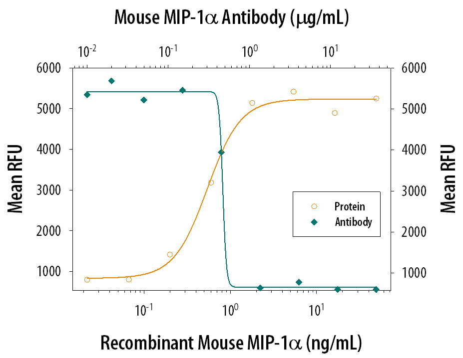 Chemotaxis Induced by CCL3/MIP‑1 alpha  and Neutrali-zation by Mouse CCL3/MIP‑1 alpha  Antibody.