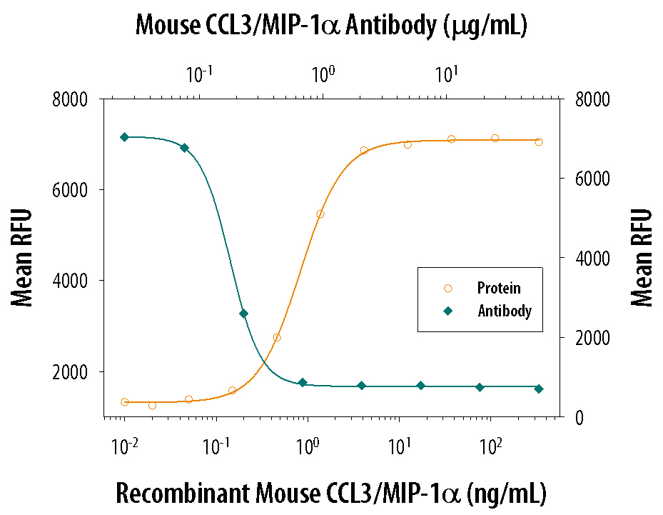 Chemotaxis Induced by CCL3/MIP‑1 alpha  and Neutralization by Mouse CCL3/MIP‑1 alpha  Antibody.