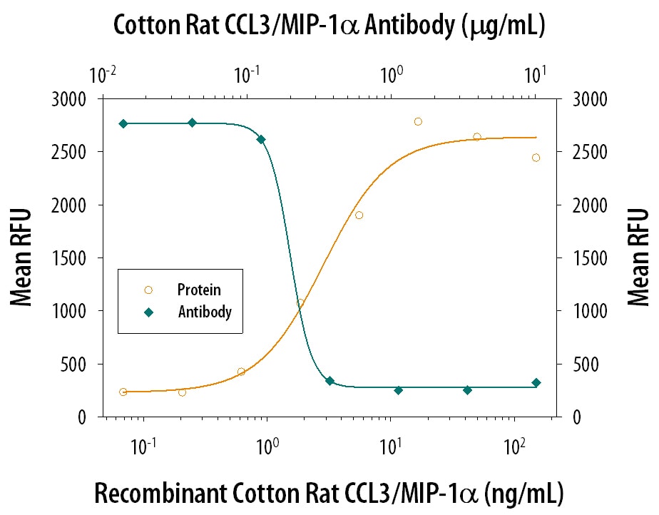 Chemotaxis Induced by CCL3/MIP‑1 alpha  and Neutral-ization by Cotton Rat CCL3/MIP‑1 alpha  Antibody.
