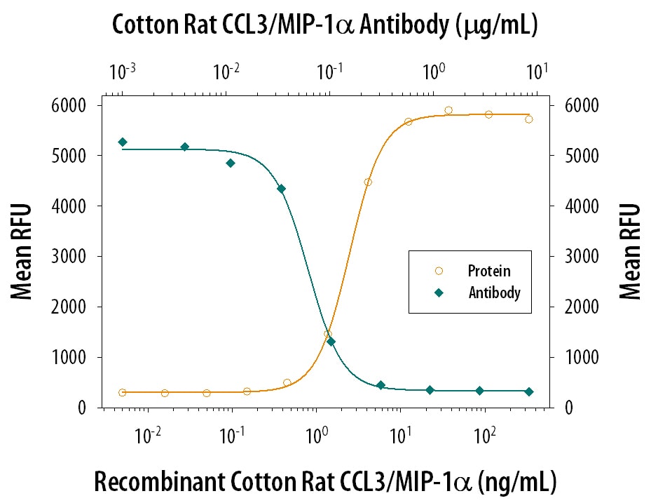 Chemotaxis Induced by CCL3/MIP‑1 alpha  and Neutralization by Cotton Rat CCL3/MIP‑1 alpha  Antibody.