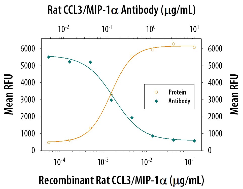 Chemotaxis Induced by CCL3/MIP‑1 alpha  and Neutral-ization by Rat CCL3/ MIP‑1 alpha  Antibody.