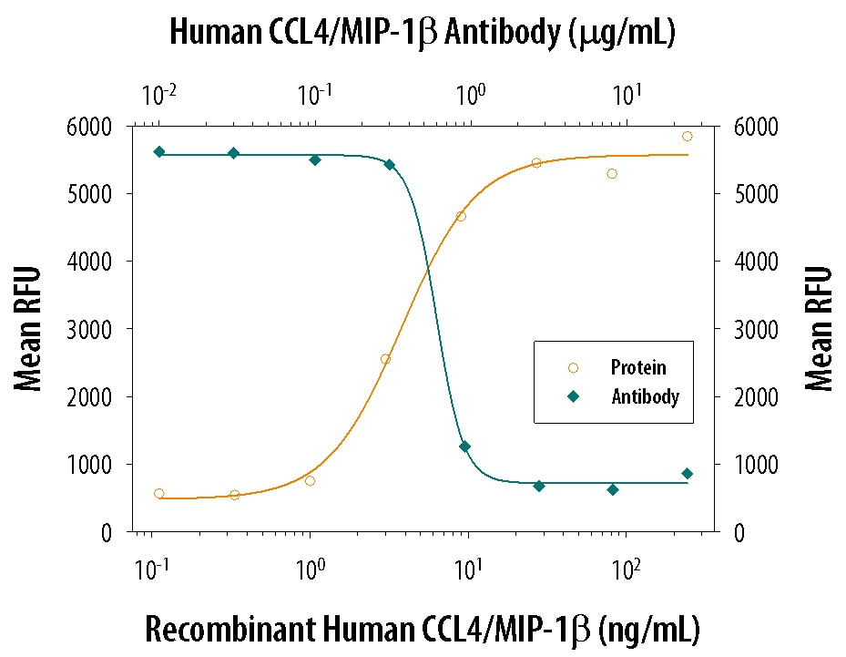 Chemotaxis Induced by CCL4/MIP‑1 beta  and Neutral-ization by Human CCL4/MIP‑1 beta  Antibody.