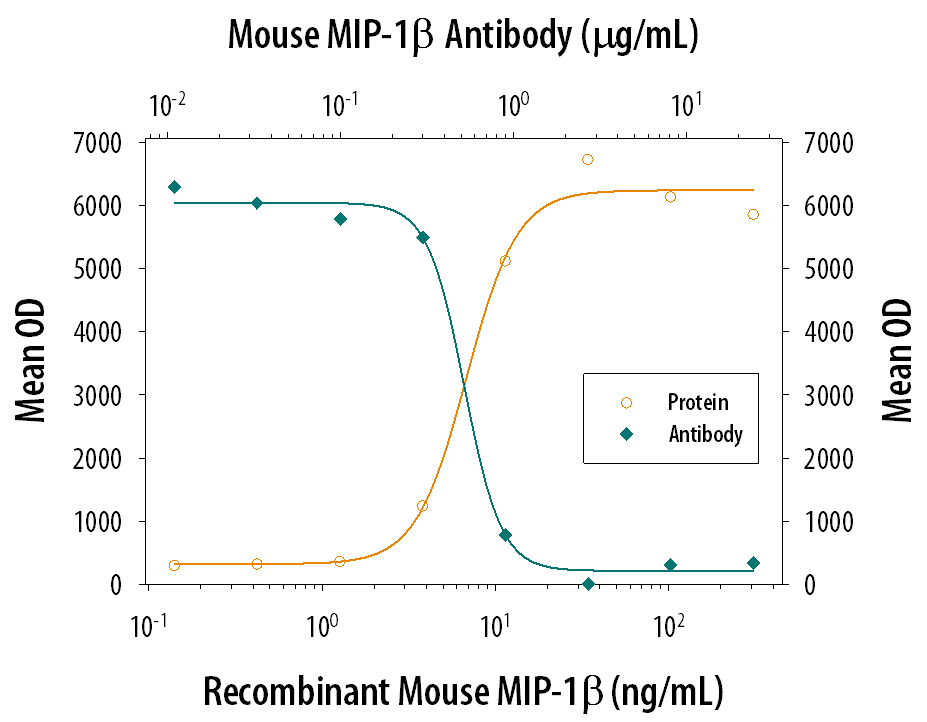 Chemotaxis Induced by CCL4/MIP‑1 beta  and Neutral-ization by Mouse CCL4/ MIP‑1 beta  Antibody.