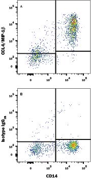 Detection of CCL4/MIP-1 beta  antibody in Human Blood Monocytes antibody by Flow Cytometry.