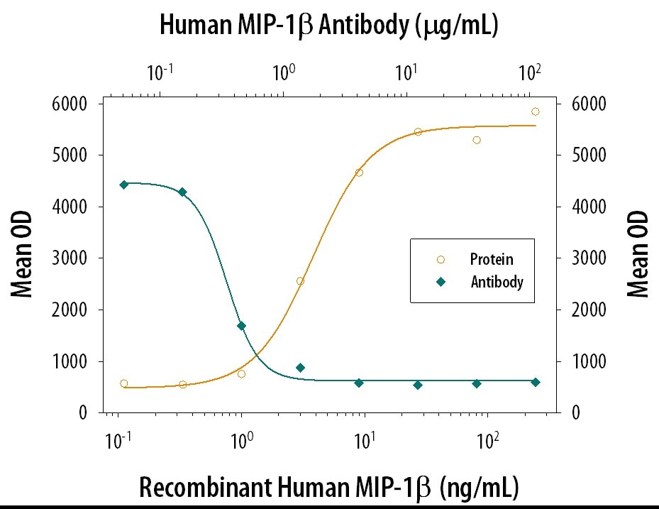 Chemotaxis Induced by CCL4/MIP‑1 beta  and Neutralization by Human CCL4/MIP‑1 beta  Antibody.