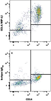 Detection of CCL4/MIP-1 beta  antibody in Human Blood Monocytes antibody by Flow Cytometry.