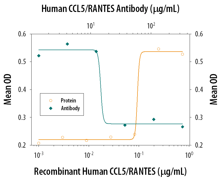 Chemotaxis Induced by CCL5/RANTES and Neutralization by Human CCL5/RANTES Antibody.