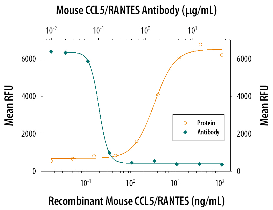 Chemotaxis Induced by CCL5/RANTES and Neutralization by Mouse CCL5/RANTES Antibody.