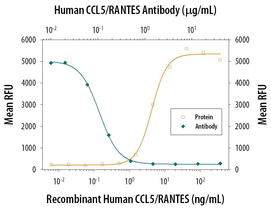 Chemotaxis Induced by CCL5/RANTES and Neutralization by Human CCL5/RANTES Antibody.