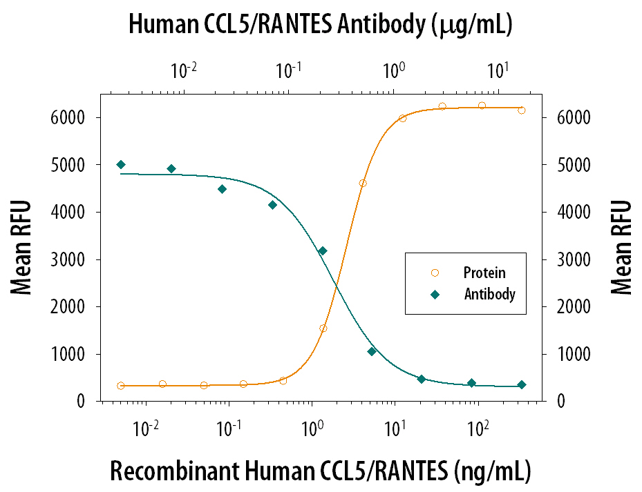 Chemotaxis Induced by CCL5/RANTES and Neutralization by Human CCL5/RANTES Antibody.