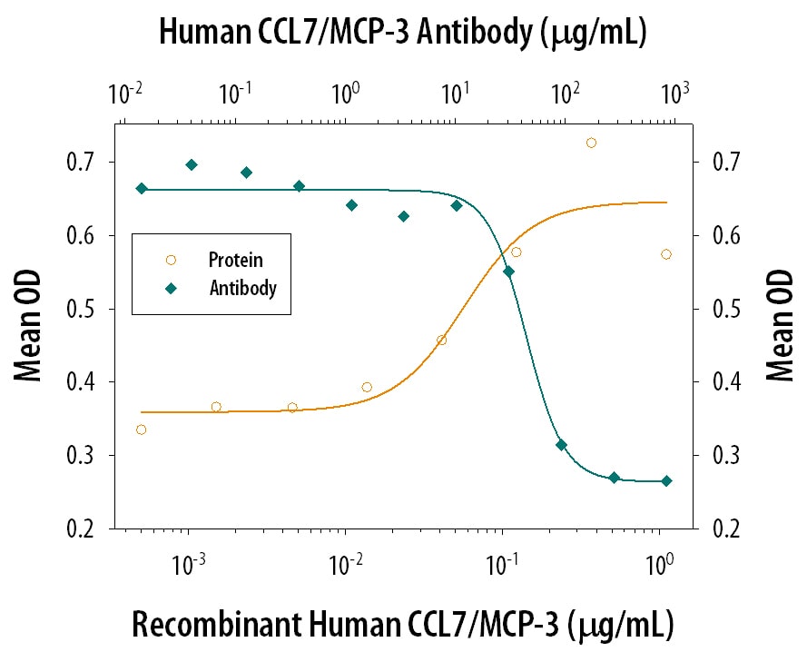 Chemotaxis Induced by CCL7/MCP‑3 and Neutral-ization by Human CCL7/MCP‑3 Antibody.