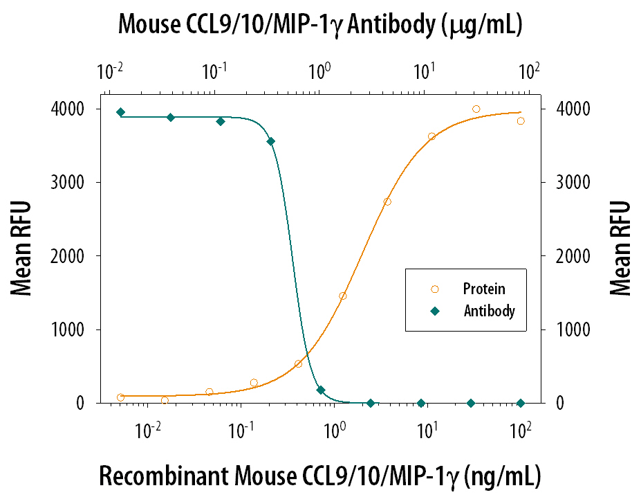 Chemotaxis Induced by CCL9/10/MIP‑1 gamma  and Neutral-ization by Mouse CCL9/10/MIP‑1 gamma  Antibody.