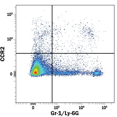 Detection of CCR2 antibody in Mouse Splenocytes antibody by Flow Cytometry.