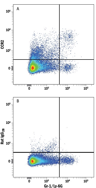 Detection of CCR2 antibody in Mouse Splenocytes antibody by Flow Cytometry.