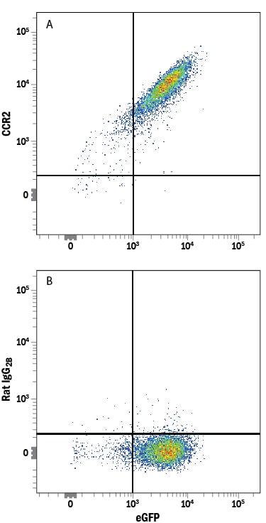Detection of CCR2 antibody in NS0 Mouse Cell Line Transfected with Mouse CCR2 and eGFP antibody by Flow Cytometry.