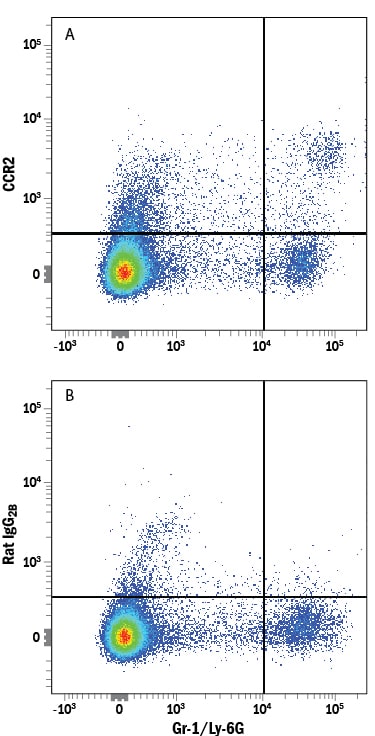 Detection of CCR2 antibody in Mouse Splenocytes antibody by Flow Cytometry.
