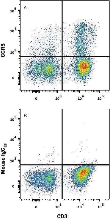 Detection of CCR5 antibody in Human Peripheral Blood Lymphocytes antibody by Flow Cytometry.