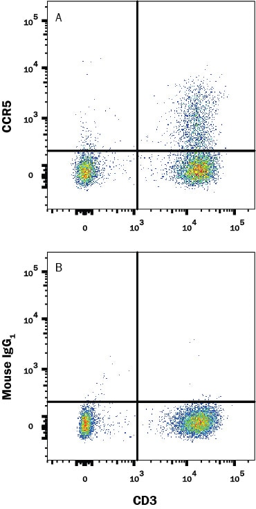 Detection of CCR5 antibody in Human Peripheral Blood Lymphocytes antibody by Flow Cytometry.