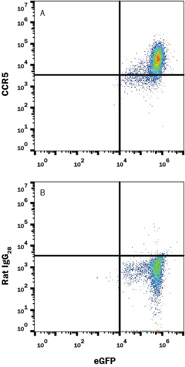 Detection of CCR5 antibody in HEK293 Human Cell Line Transfected with Mouse CCR5 and eGFP antibody by Flow Cytometry.