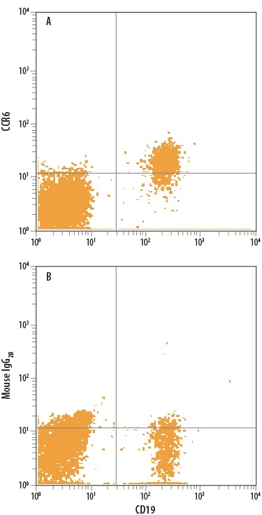 Detection of CCR6 antibody in Human PBMCs antibody by Flow Cytometry.