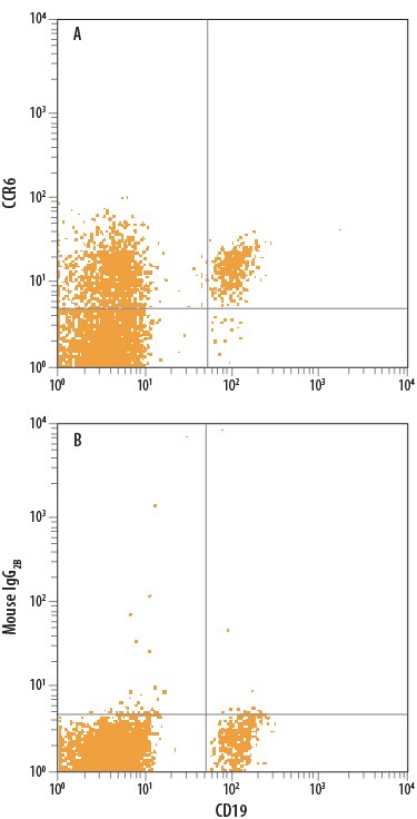 Detection of CCR6 antibody in Human PBMCs antibody by Flow Cytometry.