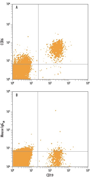 Detection of CCR6 antibody in Human PBMCs antibody by Flow Cytometry.