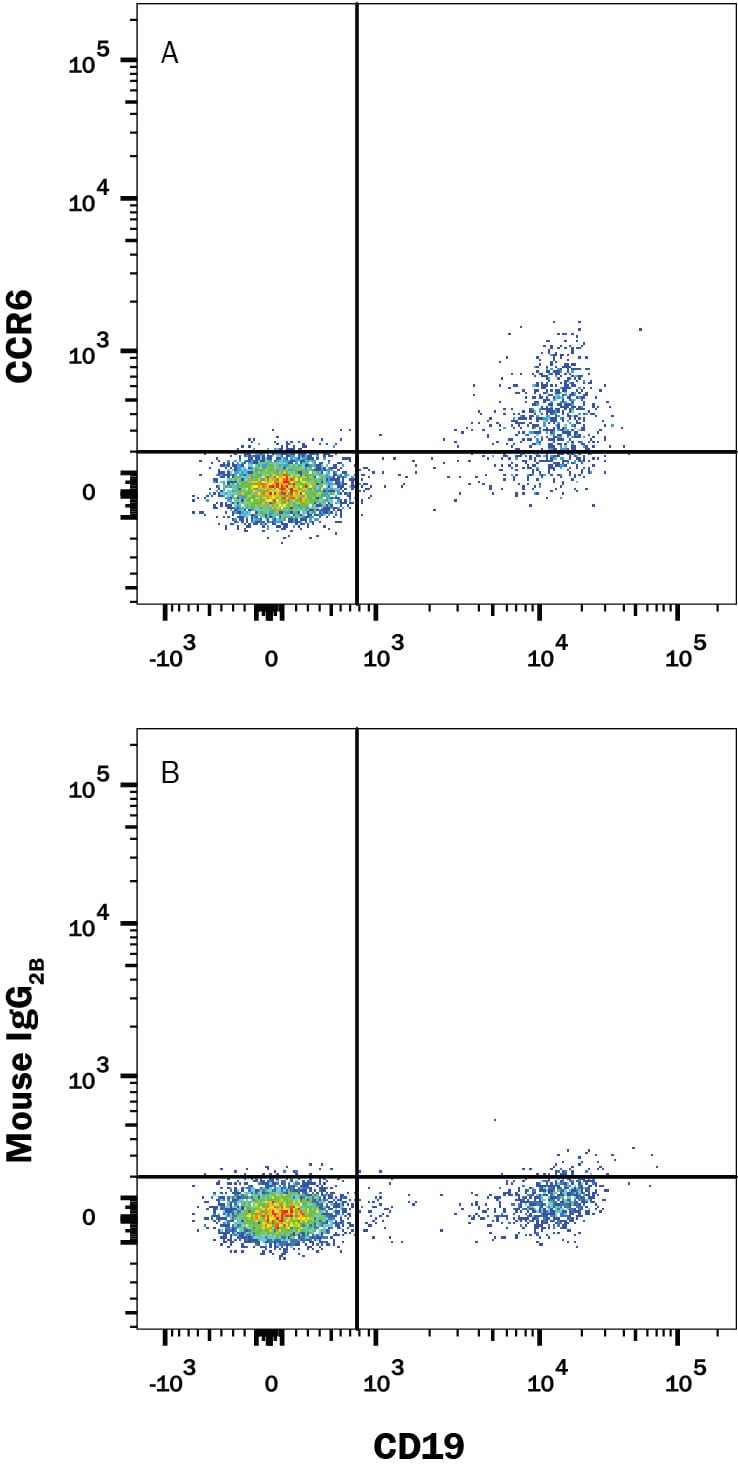 Detection of CCR6 antibody in Human PBMCs antibody by Flow Cytometry.