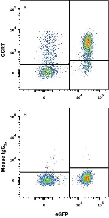 Detection of CCR7 antibody in Human PBMCs by Flow Cytomtetry.