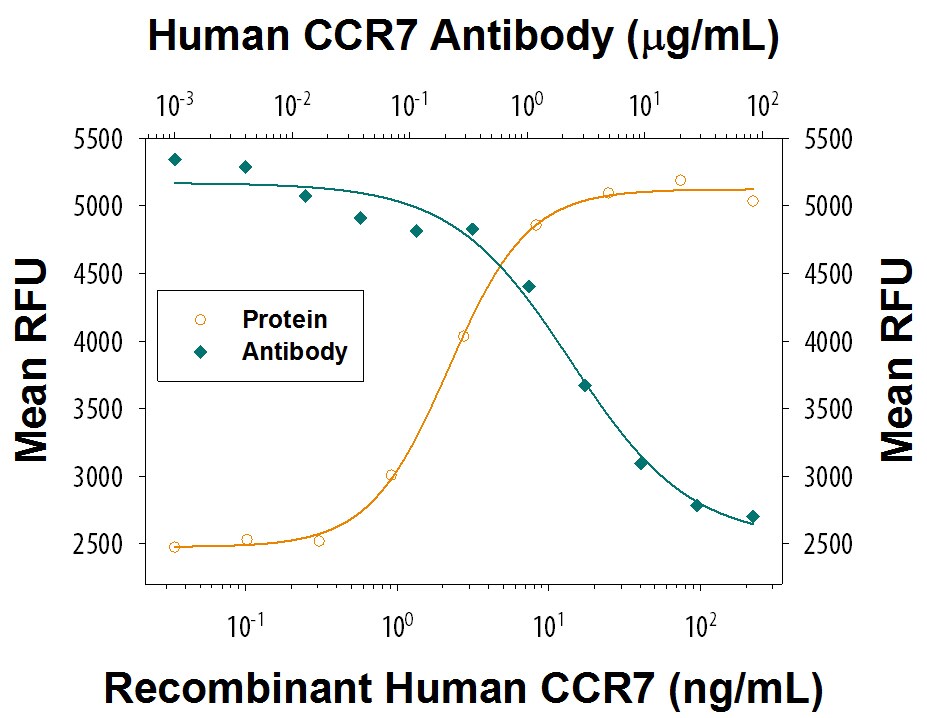 Chemotaxis Induced by CCL19/MIP-3 beta  and Neutral-ization by Human CCR7 Antibody.