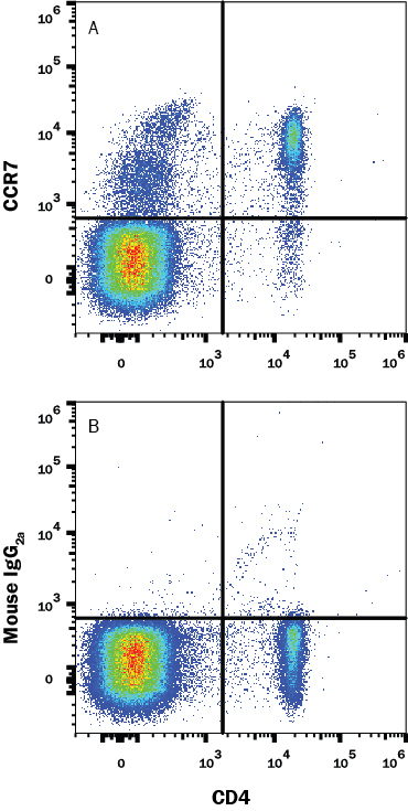 Detection of CCR7 antibody in Human PBMCs by Flow Cytomtetry.